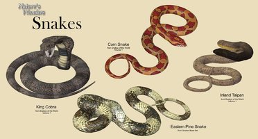 Snakes Teaser3.jpg