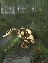 snakesv1.jpg