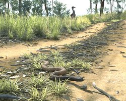 inland taipan2.jpg
