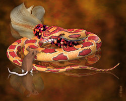 Scram Silly Mouse.jpg