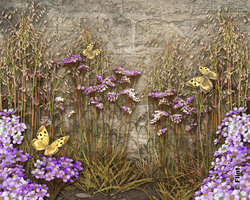 Fluttering On Fragile Wings.jpg