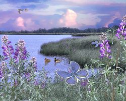 Lakeside.jpg