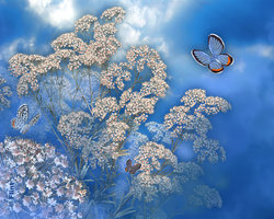 Gossamer Dream.jpg