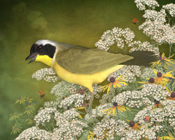 Splendor In the Blossoms.jpg