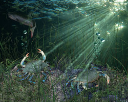 In the Spotlight.jpg