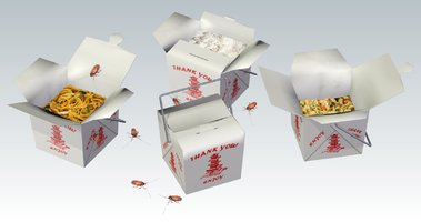 American Cockroach2.jpg