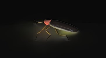 Firefly1.jpg