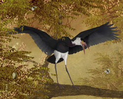 Rarest of Them All.jpg