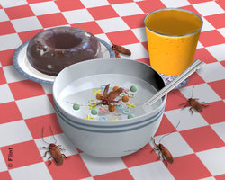 A Feast Fit For A Cockroach.jpg