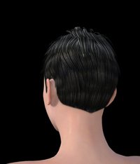 Short hair conversion using my templateback.jpg