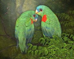 Deep In The Forest.jpg