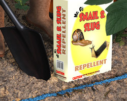 I Dare You To Cross this Line.jpg