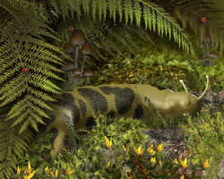 On the Forest Floor.jpg