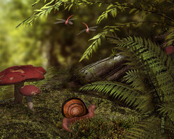 On the Edge Of the Forest.jpg