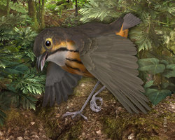 Hunt In the Jungle.jpg