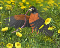 Spring Has Arrived.jpg