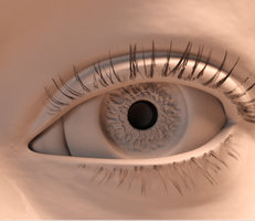 axxeyedetail4.jpg