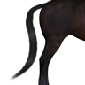 Tail magnets for Hivewire Horse (Harry)