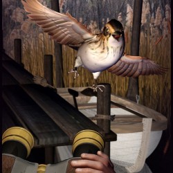Peril Of The Salt Marsh Sparrow By Fionathegood