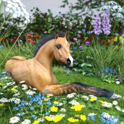 Foal In The Garden By Nancy Reilly