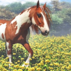 Marigold Pony By Azoohouse
