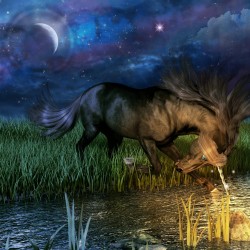 Midnight River Unicorn By Talihawk