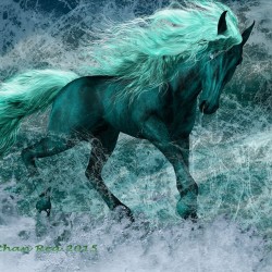 Sea Horse By Jonrea