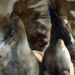 Thunder Horses By Desertsilver