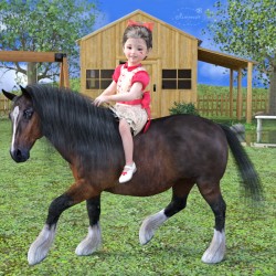 Her Pony Rr