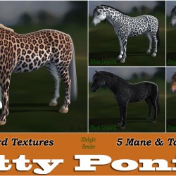 Kitty Ponies - Leopard
