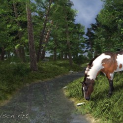 Paint Horse By The Forest Stream By Jayne Wilson