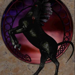 Black DragonSteed Portrait