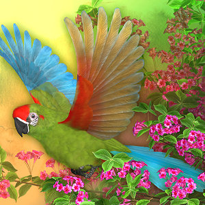 Rainbow of Feathers.jpg