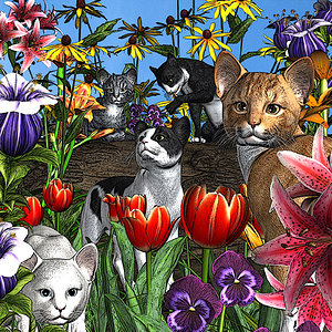 Flower Cats In Color by Wildlyfe