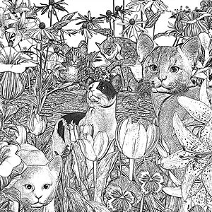 Flower Cats by Wildlyfe