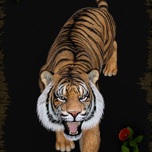 The Tiger.jpg