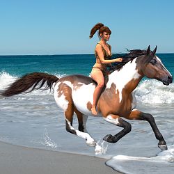 Galloping Through the Surf