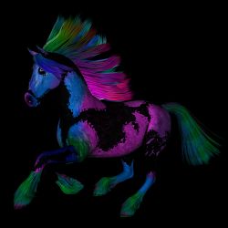 Neon Painted Pony