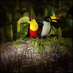 Meanwhile In The Rainforest By Ladonna
