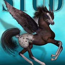 Magazine Cover - Stallion Directory - Winged Edition