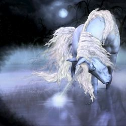 Night Unicorn By Dakorillon (IMArts)