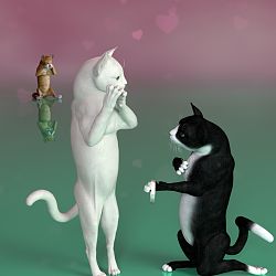 Cat Love And Heartbreak