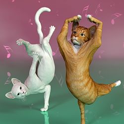 Cat Just Dance