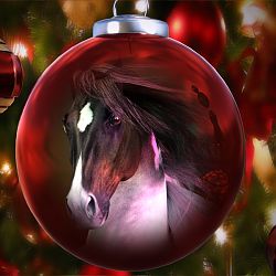 Holiday Horse by Luannemarie
