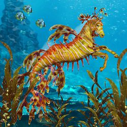 Leafy Seahorse
