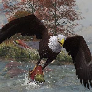 Eagle Fishing by Cinadisilver.jpg
