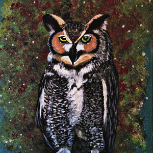 The Owl by KJ.jpg