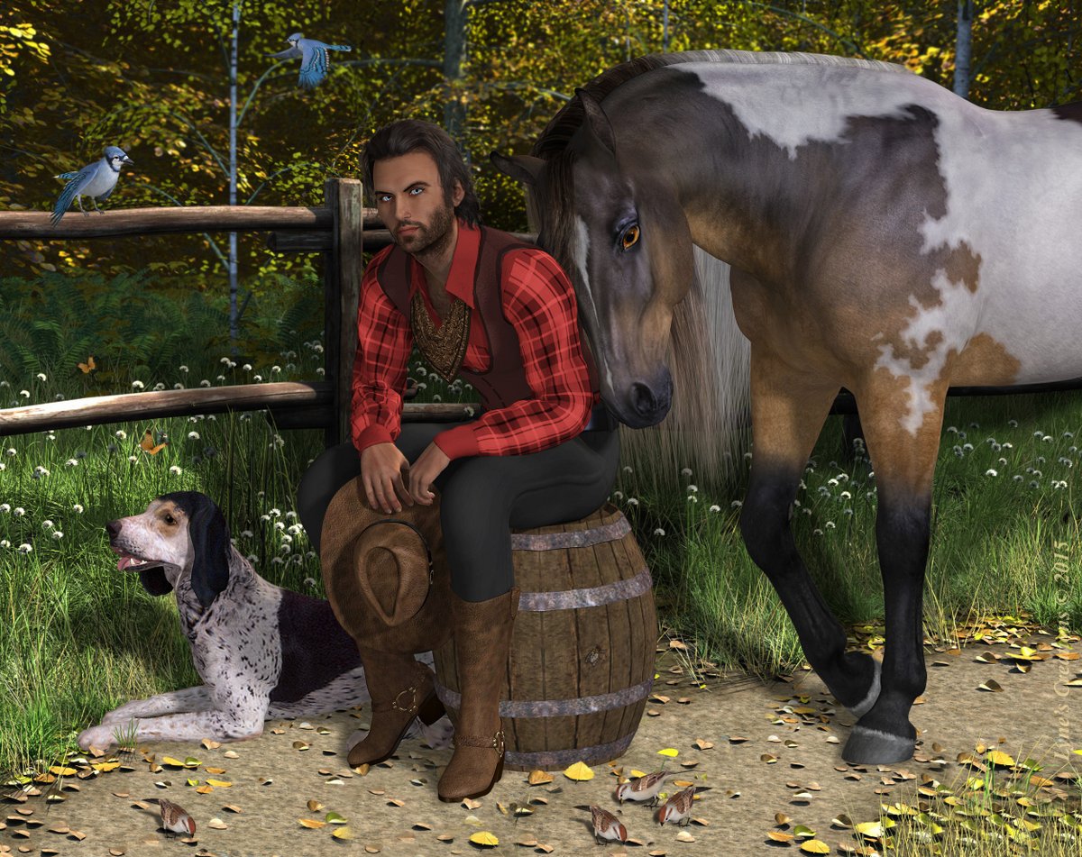 A Cowboy's Friends By Lyne