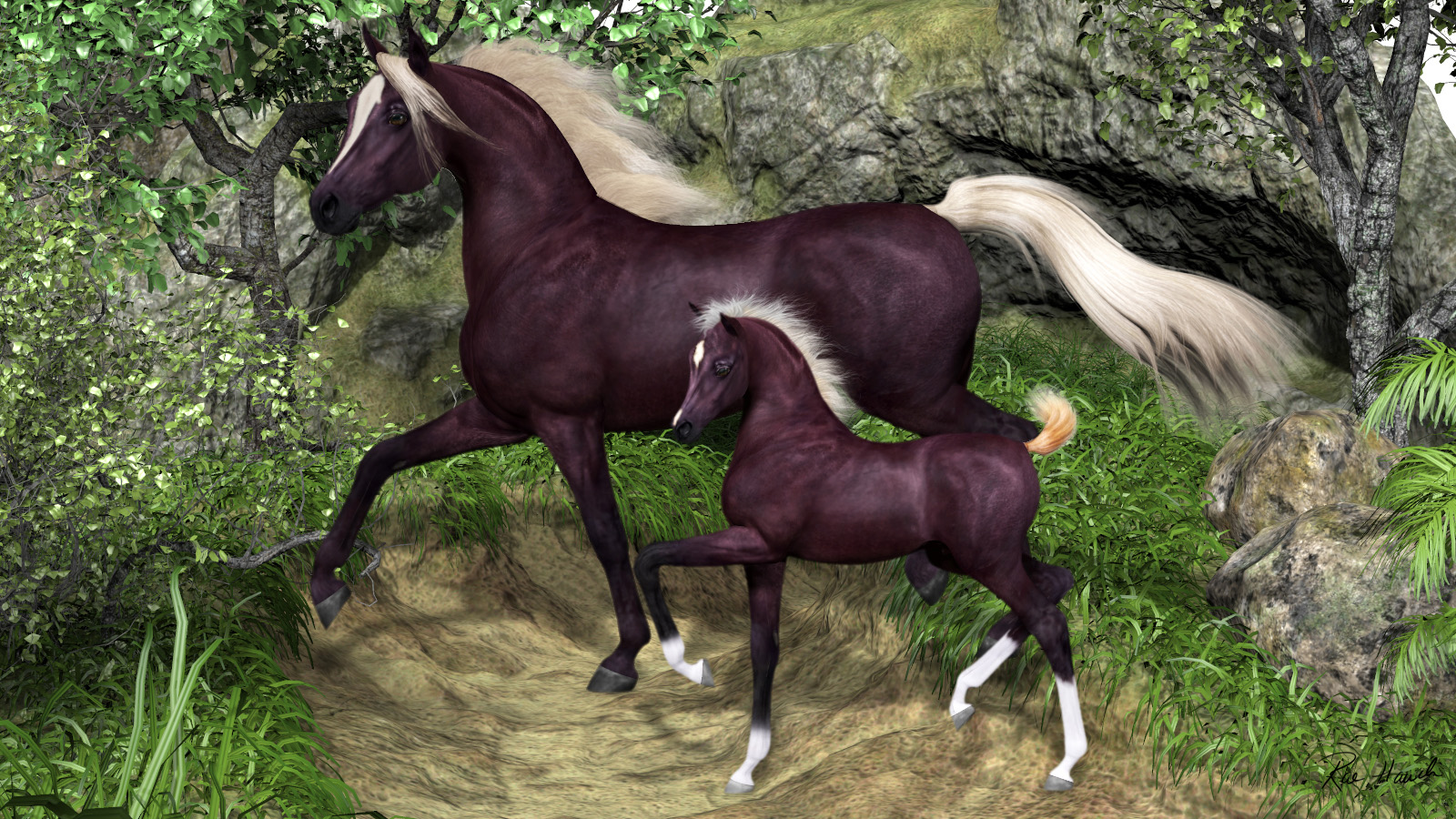 Arab Mare And Foal