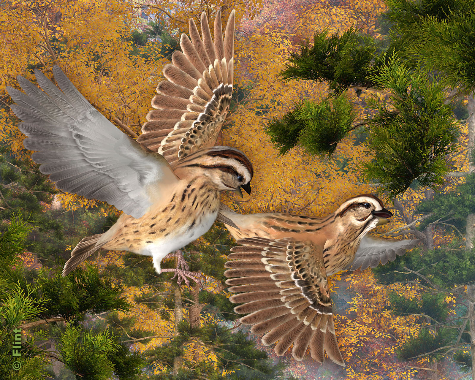 Autumn Flight.jpg